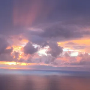 Serenity Hale , Papa Bay United States